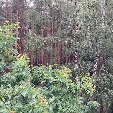 Lazdyneliu Apartamentai *