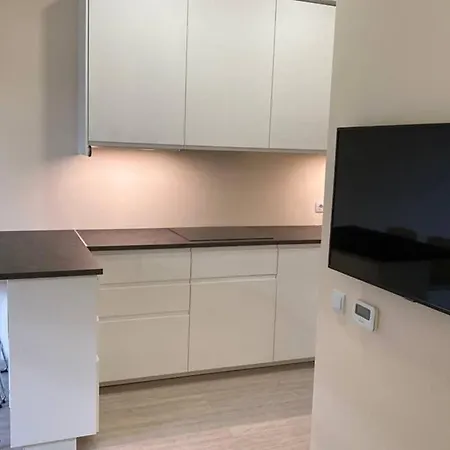 Lazdyneliu Apartamentai Lägenhet *