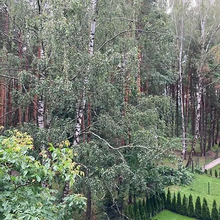 Lazdyneliu Apartamentai * Vilnius