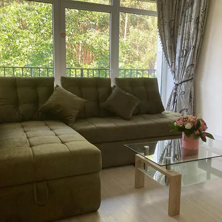 Lazdyneliu Apartamentai